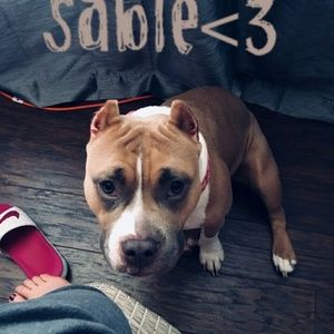 Meet your Posher, Kristy